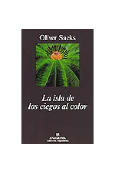 La Isla de los ciegos al color