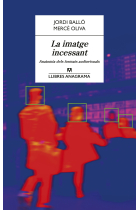 La imatge incessant. Anatomia dels formats audiovisuals