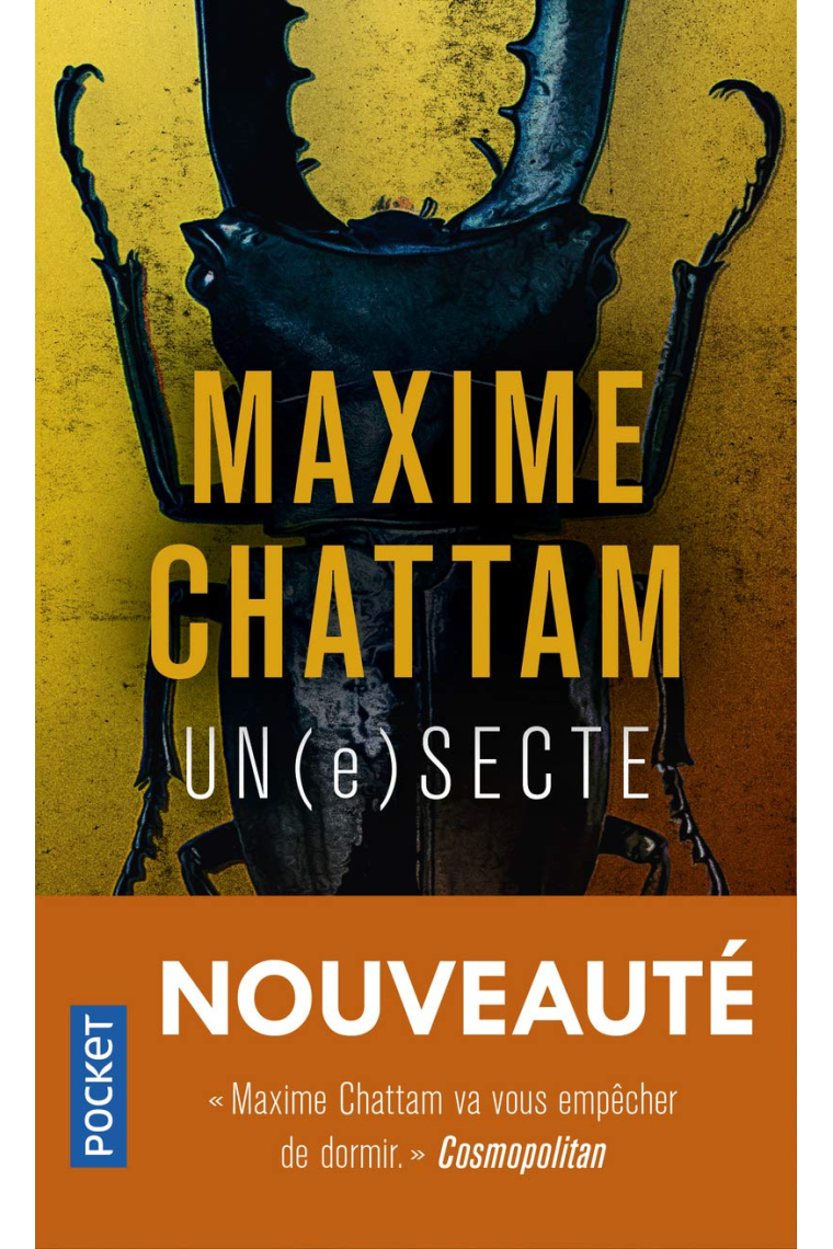 Un(e)secte (Pocket. Thriller)