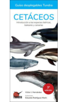 Cetáceos. Introducción a las especies ibéricas, baleares y canarias (Guías desplegables Tundra)