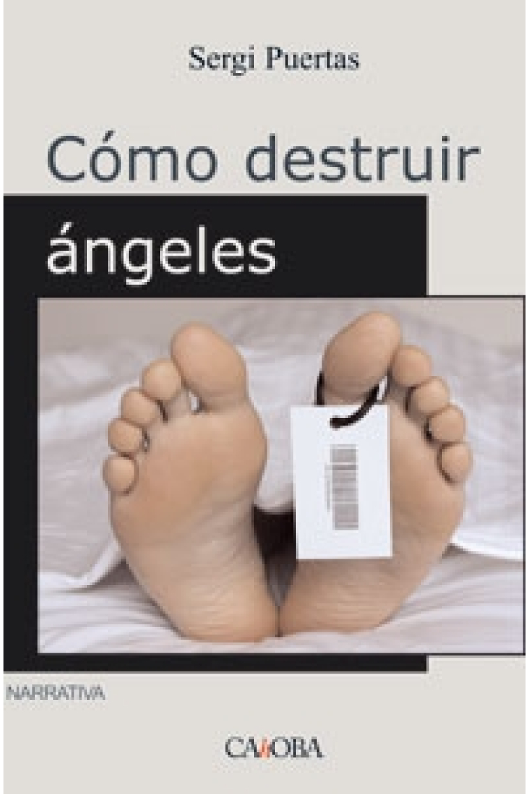 Cómo destruir ángeles