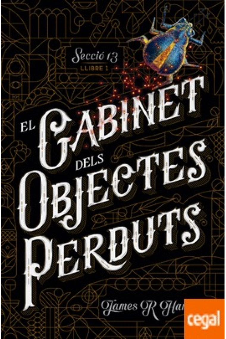 El gabinet dels objectes perduts