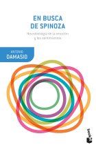 En busca de Spinoza: neurobiología de la emoción y los sentimientos