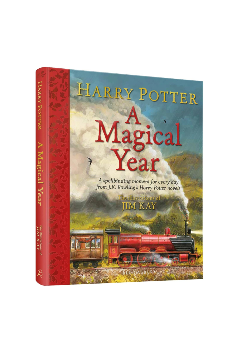 Harry Potter  A Magical Year