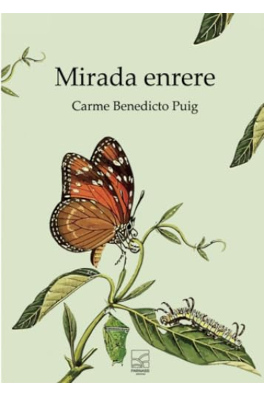 MIRADA ENRERE