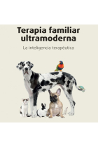 Terapia familiar ultramoderna