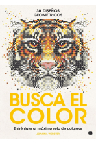 Busca el color (30 diseños geométricos)