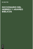 Diccionario del hebreo y arameo Biblicos