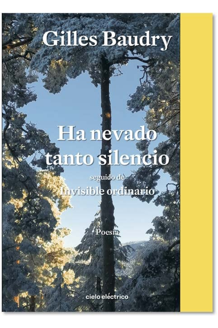 Ha nevado tanto silencio · Invisible ordinario (Ed. Bilingüe castellano/francés)