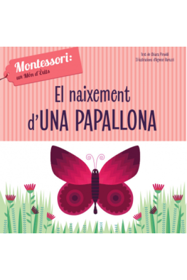 El naixement d'una papallona (Montessori)