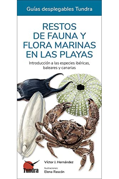 Restos de fauna y flora marinas en plantas. Instroducción a las especies ibéricas, baleares y canarias