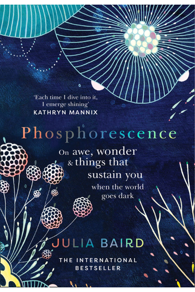 Phosphorescence: On awe, wonder & things that sustain you when the world goes dark