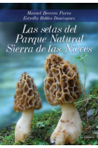 Las setas del Parque Natural Sierra de las Nieves