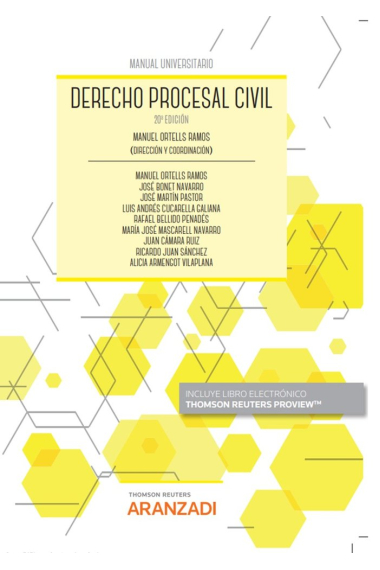 (22).DERECHO PROCESAL CIVIL