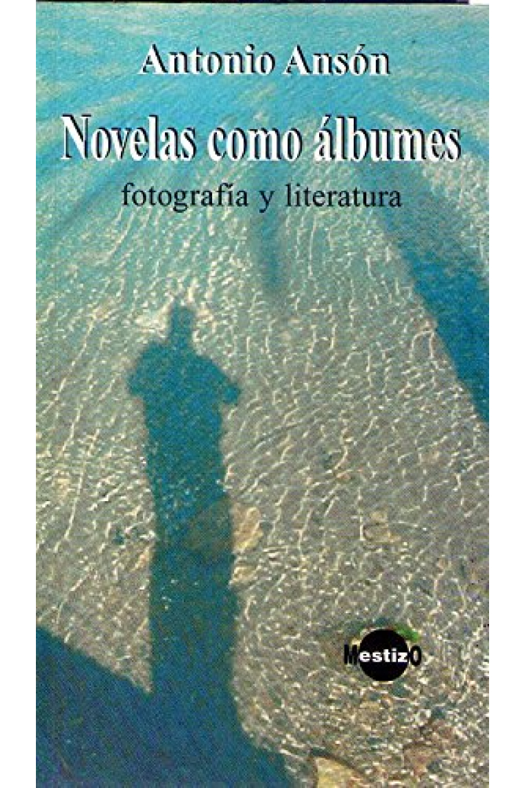 Novelas como álbumes. Fotografía y literatura