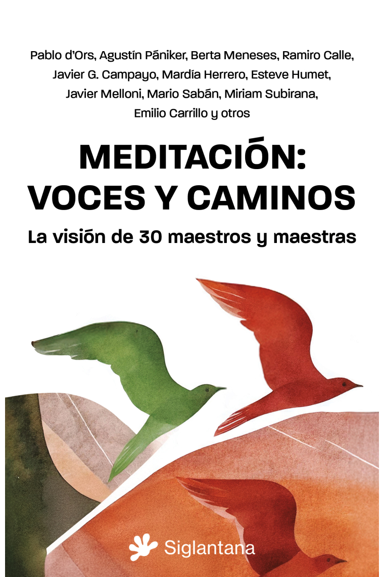 Meditación: voces y caminos. La visión de 30 maestros y maestras