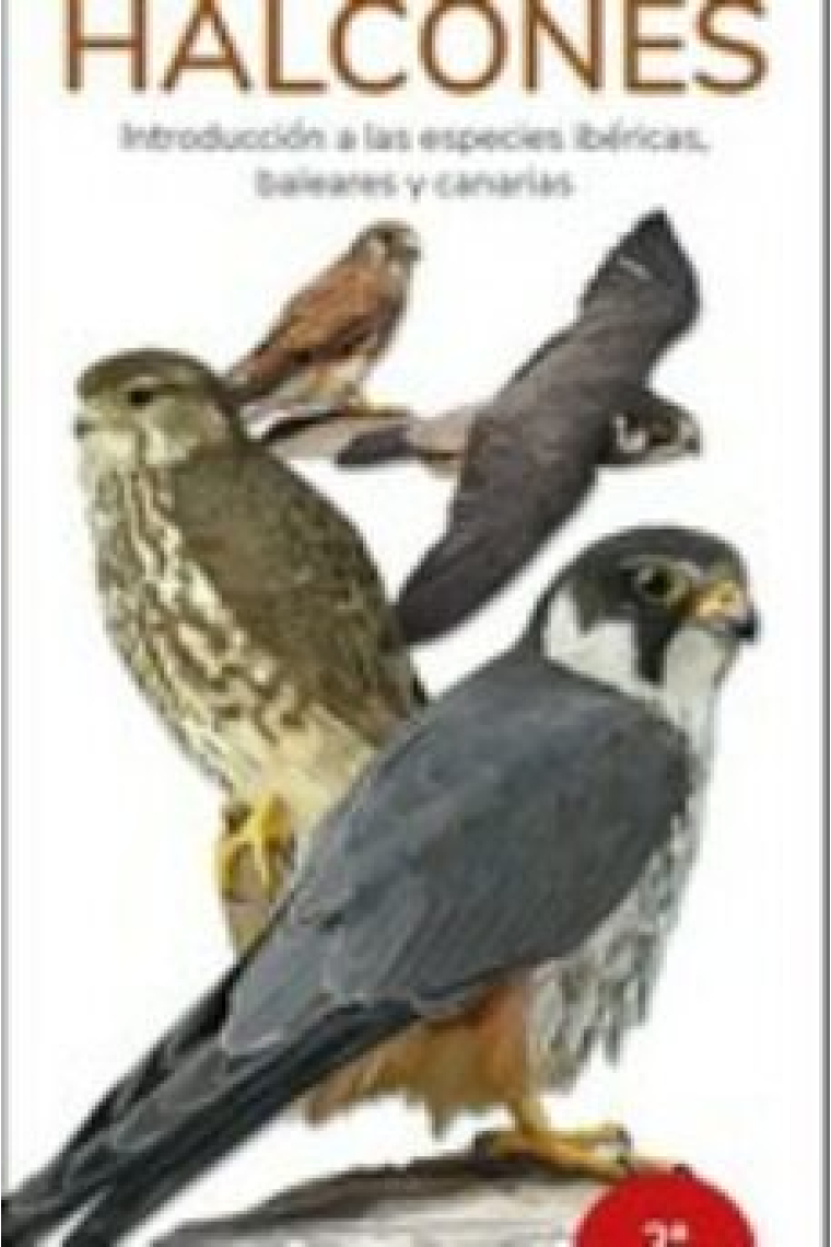 Halcones