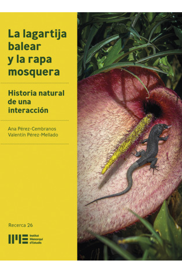 La lagartija balear y la rapa mosquera