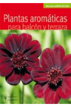 Plantas aromáticas para balcón y terraza