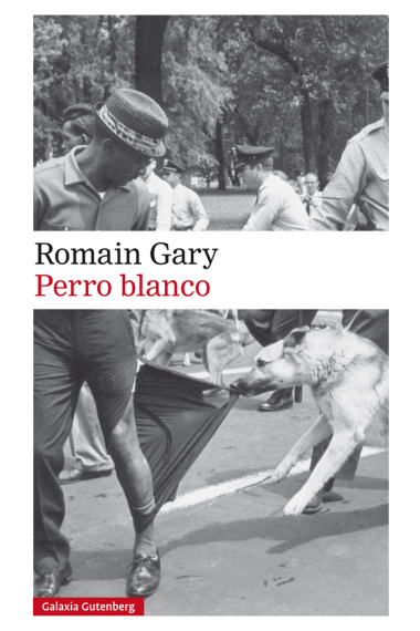 Perro blanco