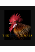 The Animals (Primer Premio al Libro Mejor Editado 2022 del Ministerio de Cultura y Deporte)