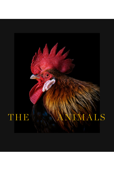 The Animals (Primer Premio al Libro Mejor Editado 2022 del Ministerio de Cultura y Deporte)