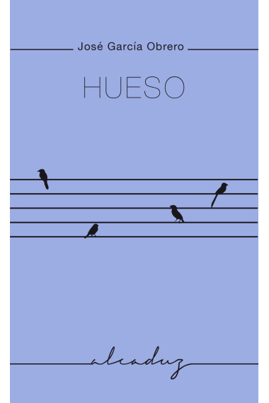 Hueso