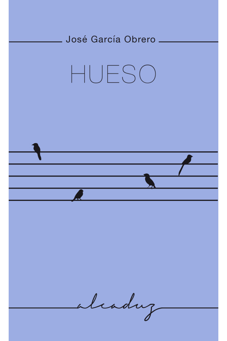 Hueso