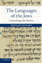 The Languages of the Jews: A Sociolinguistic History