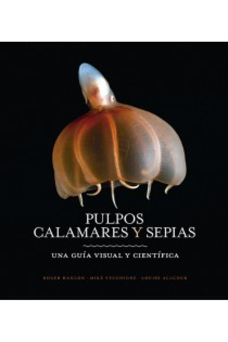 Pulpos, calamares y sepias