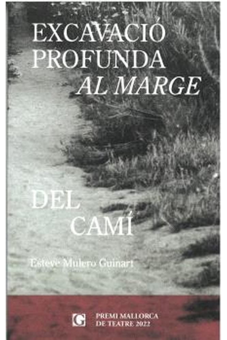 Excavació profunda al marge del camí (Premi Mallorca de Teatre 2022)