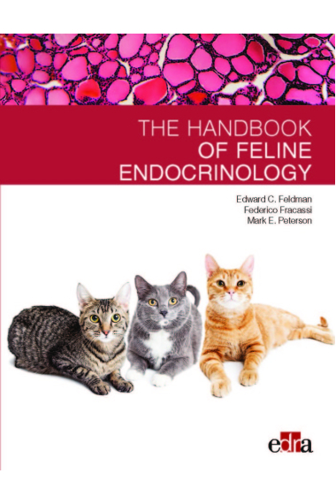 Feline endocrinology