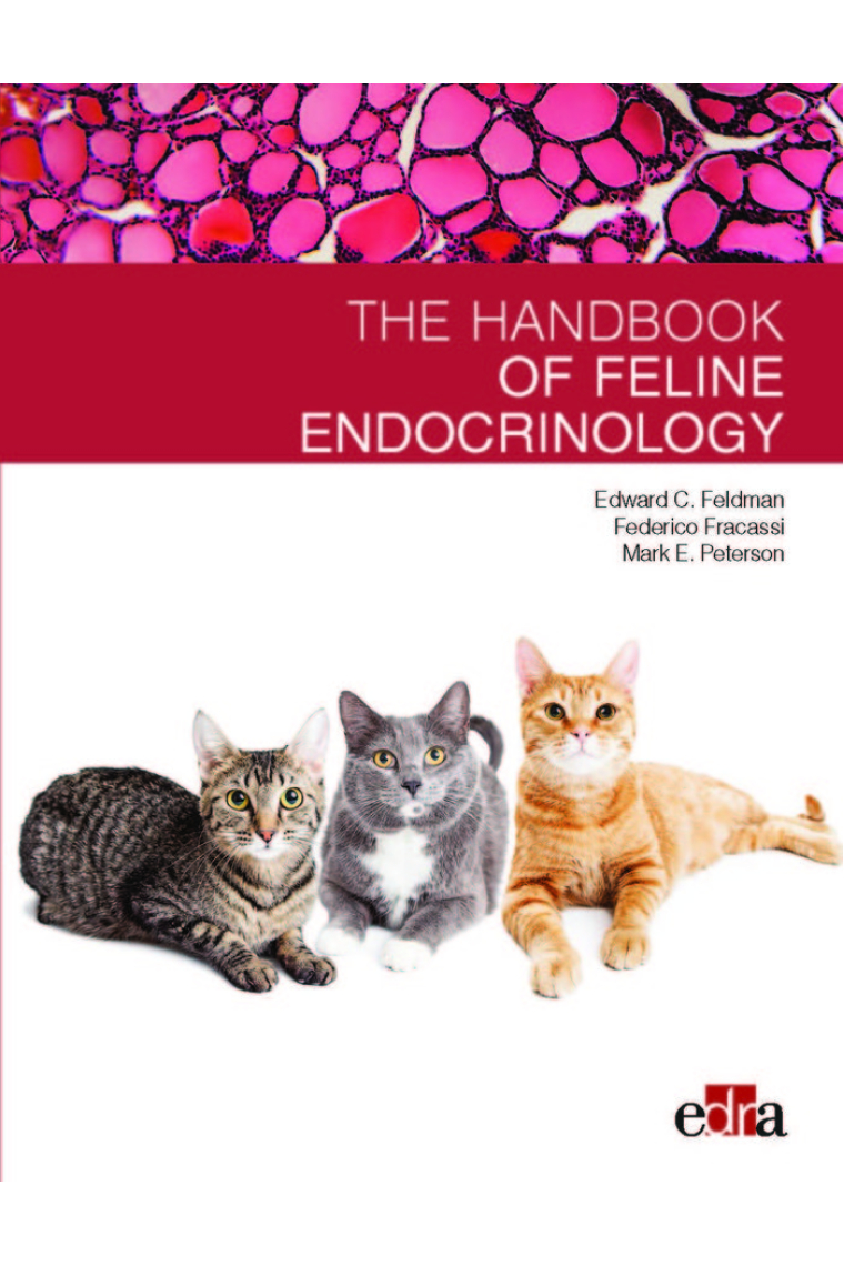 Feline endocrinology