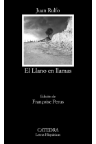 El Llano en llamas