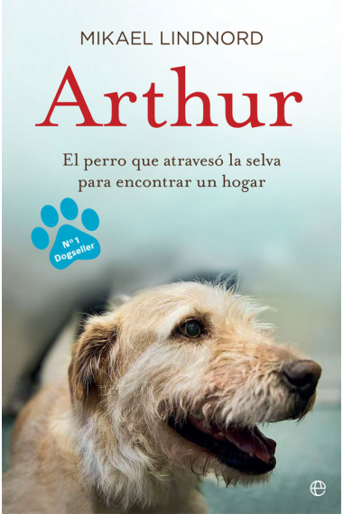 Arthur. El perro que atravesó la jungla para encontrar un hogar