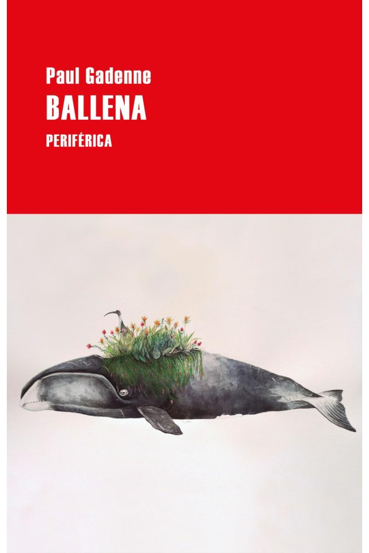 Ballena