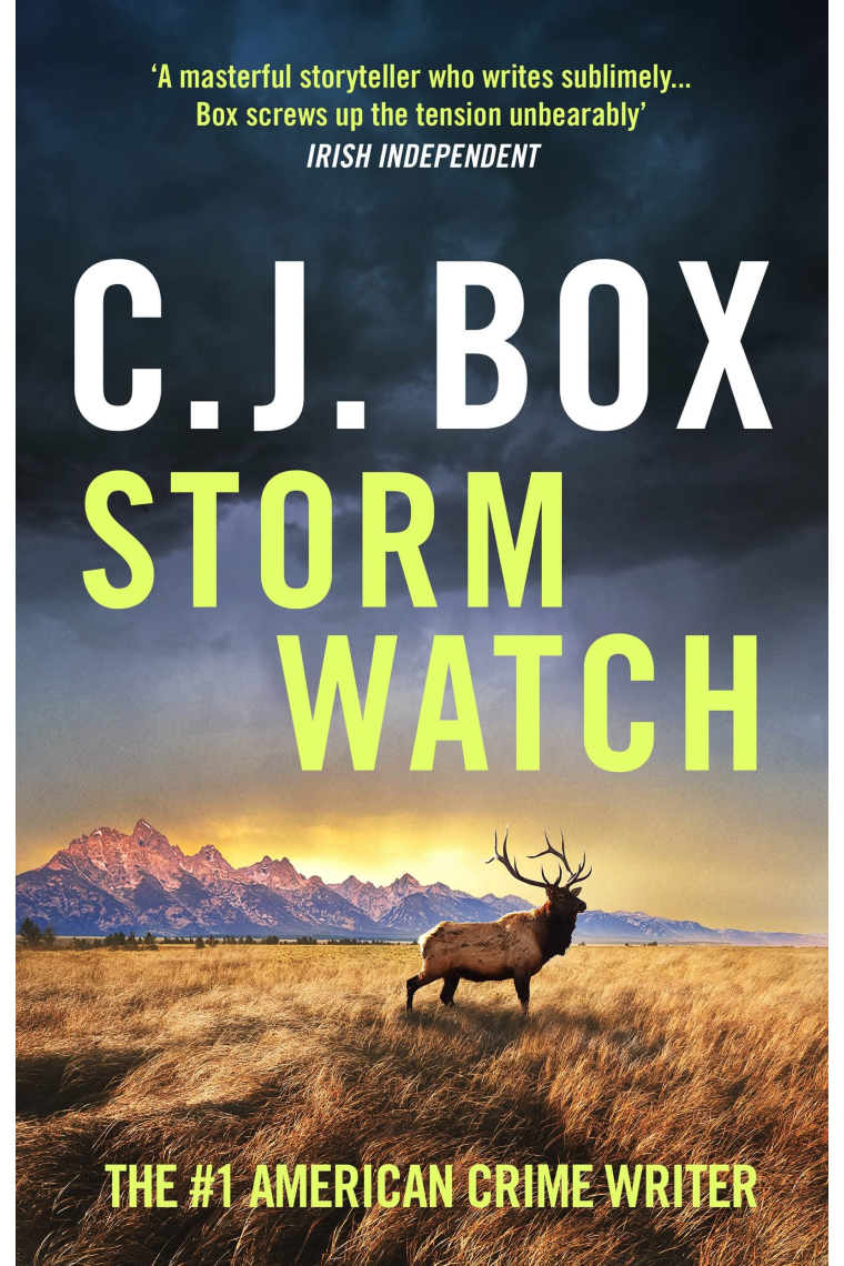 Storm Watch (Joe Pickett)