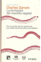 La formación del mantillo vegetal