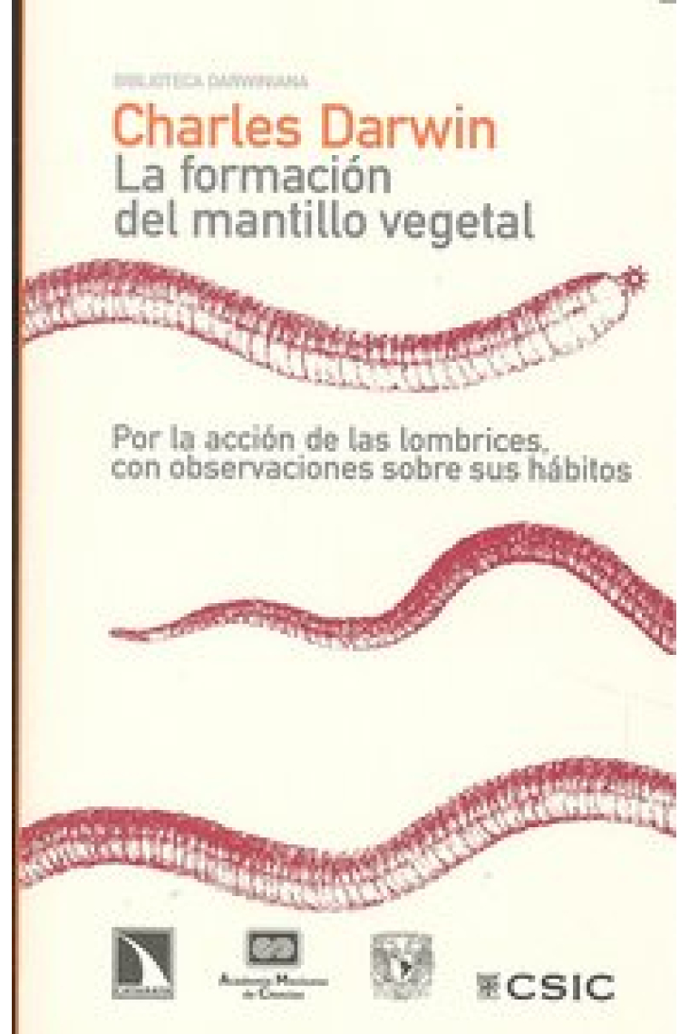 La formación del mantillo vegetal