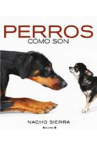 Perros. Cómo son