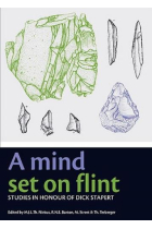 A Mind Set on Flint: Studies in Honour of Dick Stapert (Groningen Archaeological Studies)