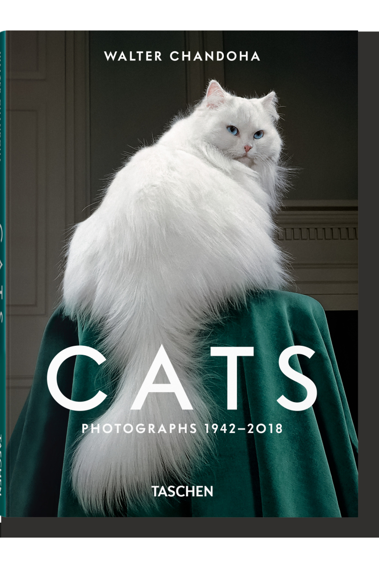 Walter Chandoha. Cats. Photographs 1942-2018