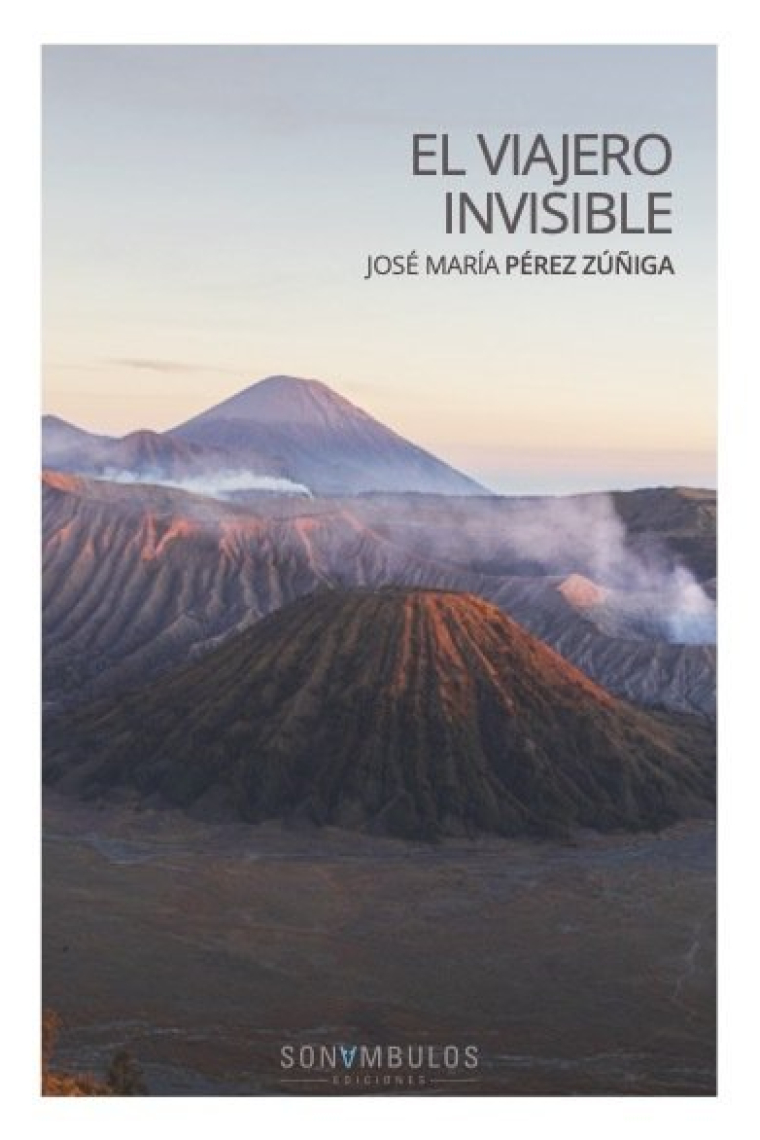 VIAJERO INVISIBLE,EL