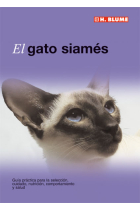 El gato siamés