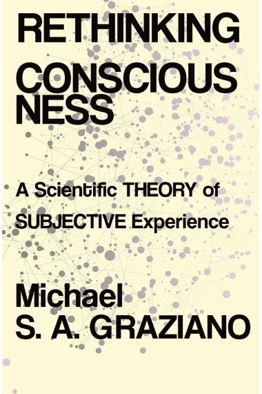 Rethinking Consciousness: A Scientific Theory of Subjective Experience