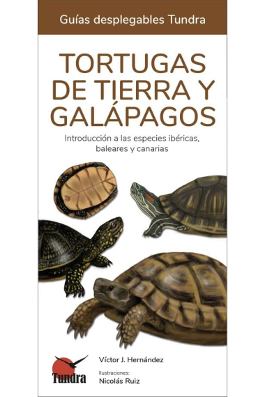 Tortugas de tierra y galápagos. Introducción a las especies ibéricas, baleares y canarias