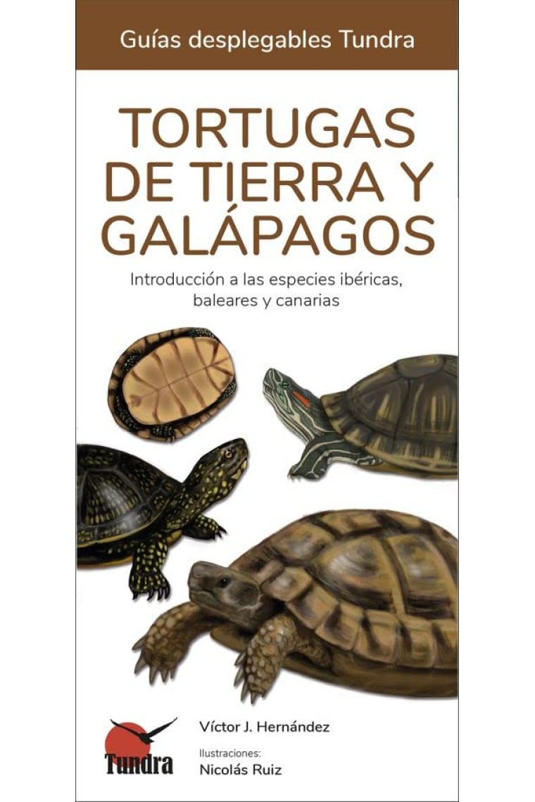 Tortugas de tierra y galápagos. Introducción a las especies ibéricas, baleares y canarias