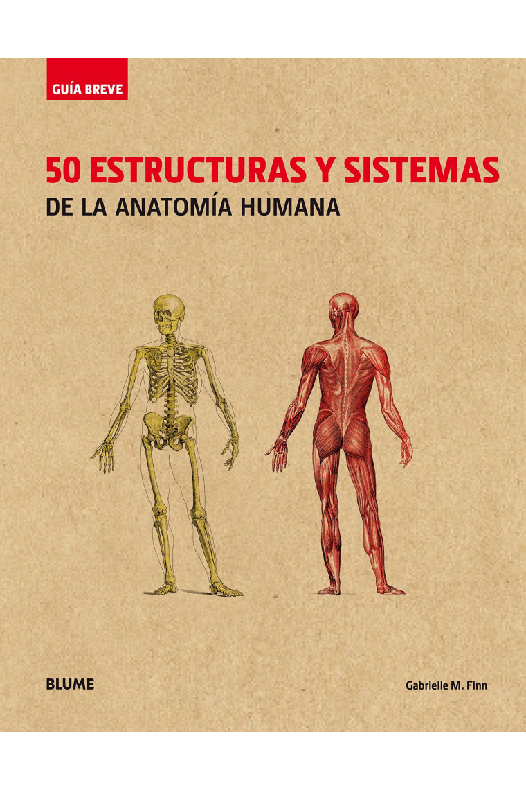 50 estructuras y sistemas de la anatomía humana