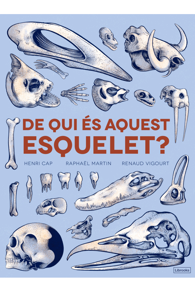 De qui és aquest esquelet?