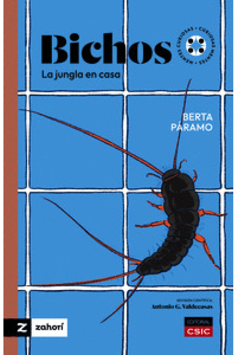 Bichos. La jungla en casa